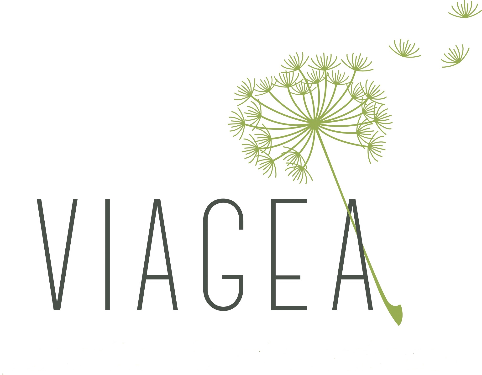 Viagea
